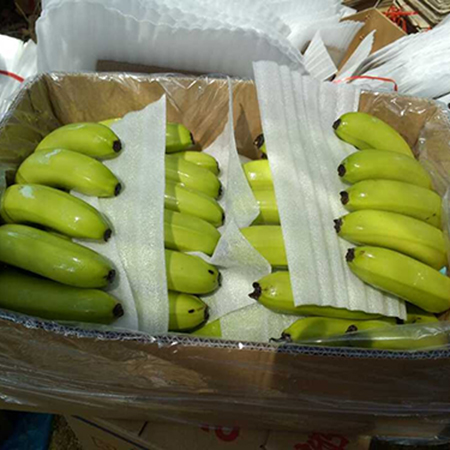大黑香蕉网|大香蕉网小说|大香蕉综合网|大香蕉